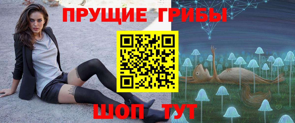 Псилоцибиновые грибы прущие грибы Верхний Уфалей