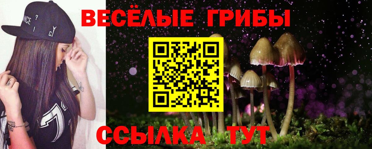 Галлюциногенные грибы MAGIC MUSHROOMS  Вход с VPN  Верхний Уфалей 